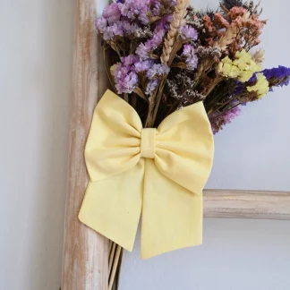 Hair Bow with Clip